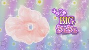 付録の「キラつやBIGシュシュ」。