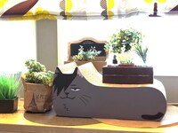 「ハイキュー!! TO THE TOP 猫の爪とぎ 黒尾ネコ＆研磨ネコ」より、「黒尾ネコ」の面。