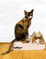 「ハイキュー!! TO THE TOP 猫の爪とぎ 黒尾ネコ＆研磨ネコ」と猫。