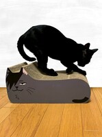 「ハイキュー!! TO THE TOP 猫の爪とぎ 黒尾ネコ＆研磨ネコ」と猫。