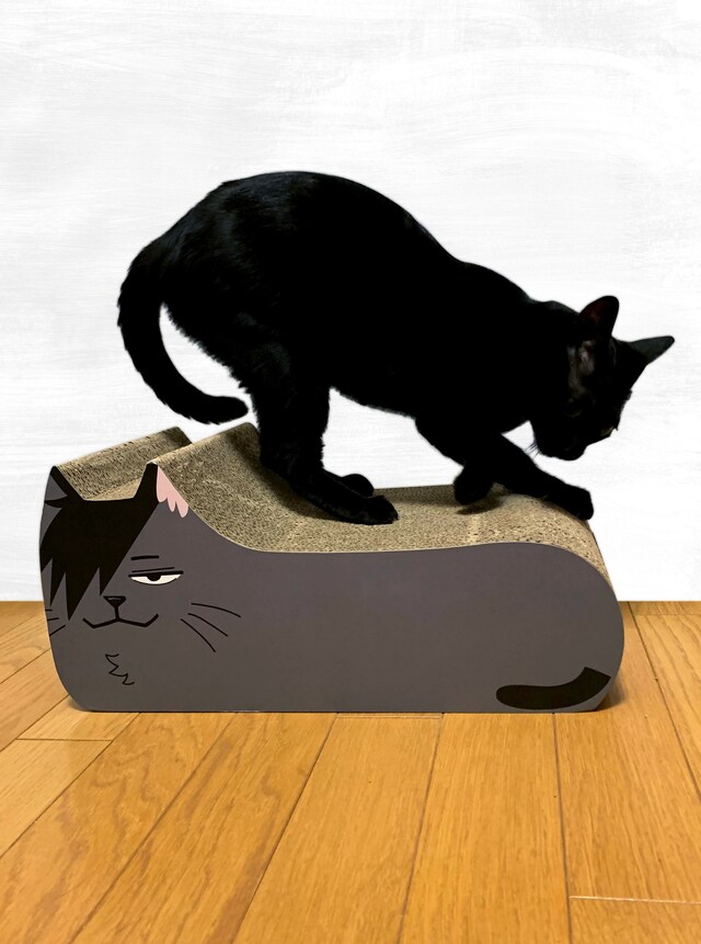 「ハイキュー!! TO THE TOP 猫の爪とぎ 黒尾ネコ＆研磨ネコ」と猫。