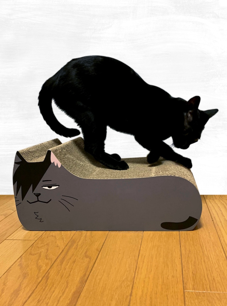 ハイキュー 音駒高校と猫をテーマにしたpop Up Shop 猫用の爪とぎも登場 コミックナタリー
