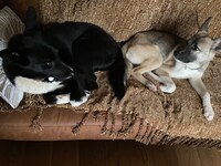 ポーターとベルマン。