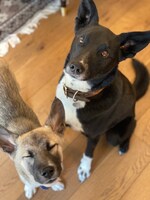 ポーター（右）、ベルマン（左）。