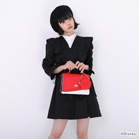 「ハーツラビュル寮 デザイン ショルダーバッグ」着用イメージ