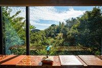 店内からの鎌倉山の眺望。