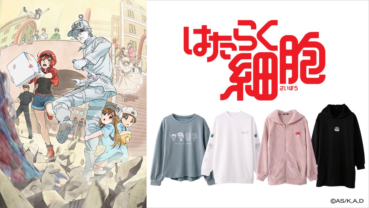 アニメ「はたらく細胞」とサンリオのコラボの告知画像。