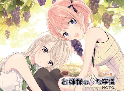 「お姉様のVな事情」扉イラスト