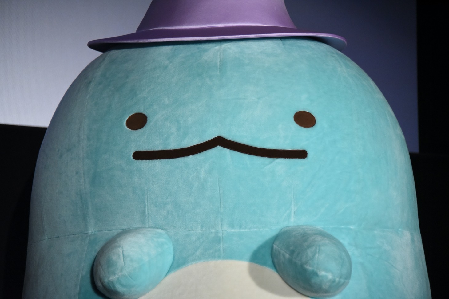 とかげ
