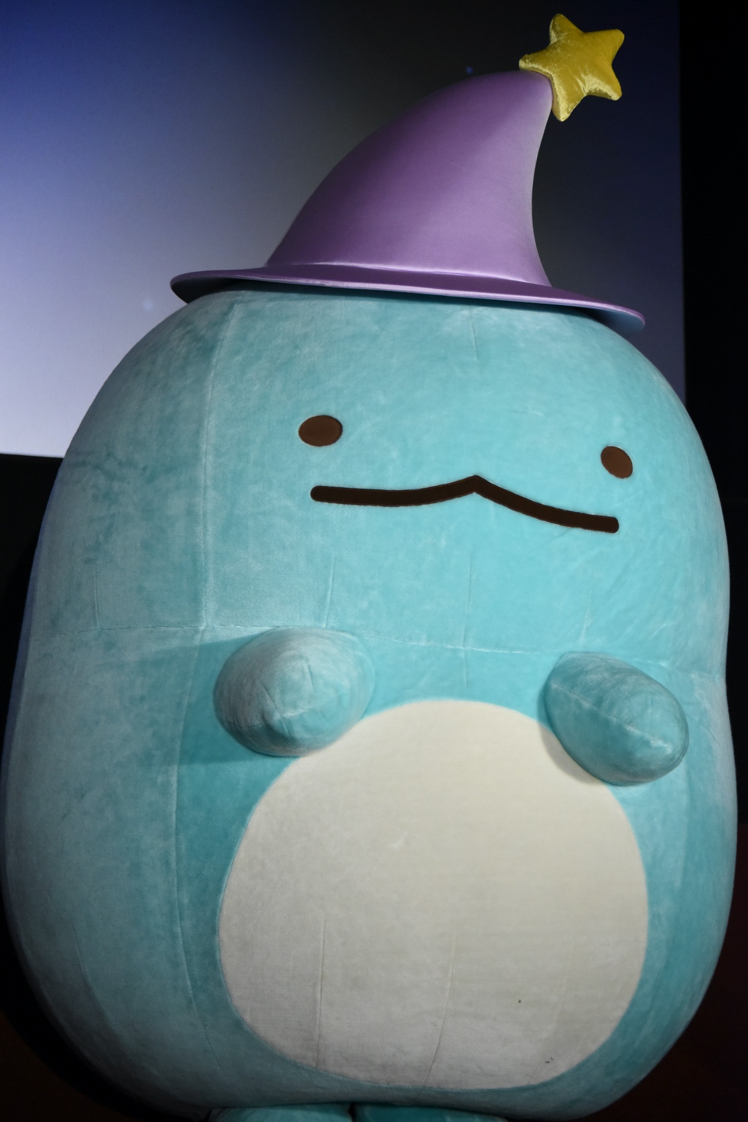 とかげ
