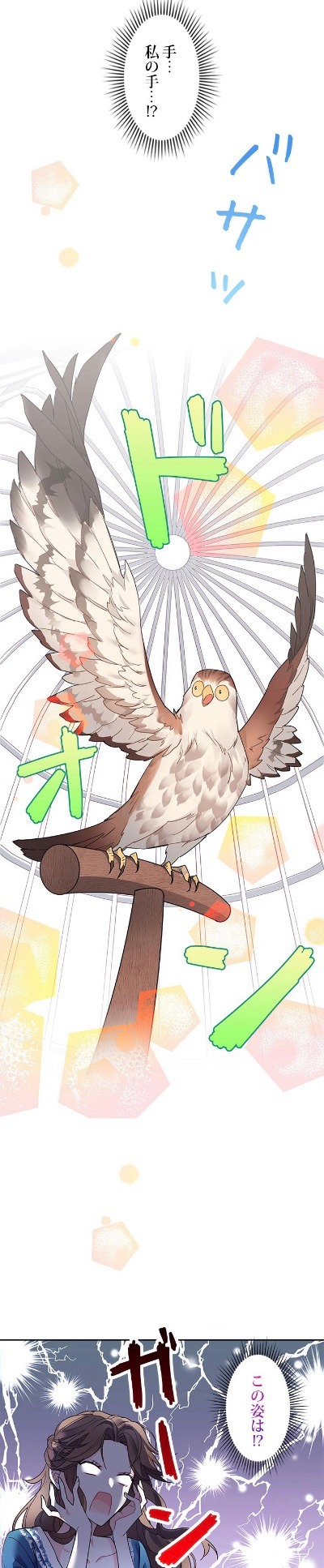 「伝書鳥の王女様」より。