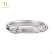 「EVANGELION カシウスの槍/ペアリング シルバー」