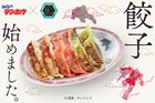「ガンダム」野菜ザクザク餃子、赤・緑・白のモビルスーツカラー3色展開
