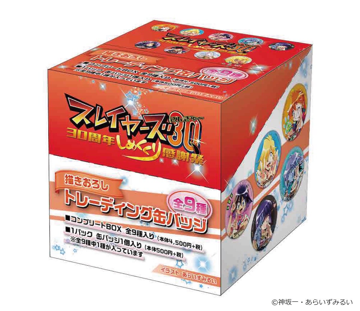 スレイヤーズ コンプリートBOX 特典付き スレイヤーズ 描きおろし 