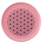 皿（禰豆子柄）