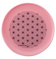 皿（禰豆子柄）