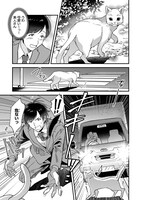 「異世界もふもふカフェ」より。