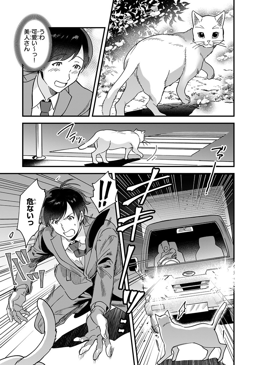 「異世界もふもふカフェ」より。