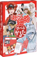 「はたらく細胞 学べるかるた」