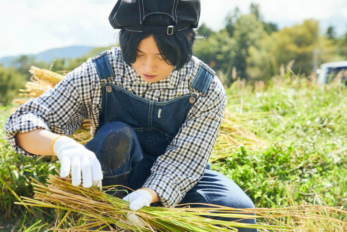 稲刈り体験をする斉藤壮馬。