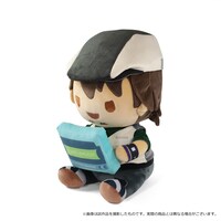 虎徹のクッション。