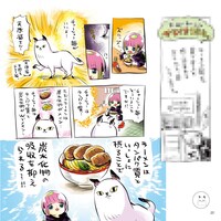 「あたしゃ川尻こだまだよ」1巻のサンプル。