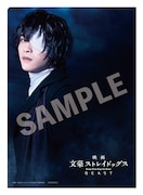 映画「文豪ストレイドッグス BEAST」ムビチケ特典第2弾のサンプル画像。