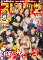 週刊ビッグコミックスピリッツ49号