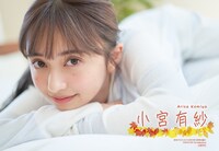 月刊ドラゴンエイジ12月号付録の小宮有紗クリアファイル。