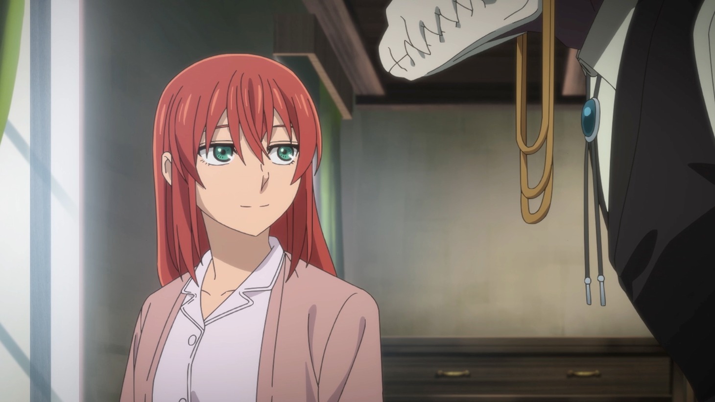 OAD「魔法使いの嫁 西の少年と青嵐の騎士」中篇の本予告より。