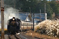 SLパレオエクスプレス