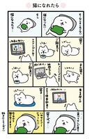 「オレアザラシの食う寝るにゃんこ」より。