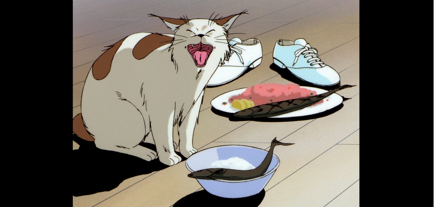 OVA「To-y」より。