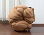 「球体ビスケット・オリバ」のイメージ。