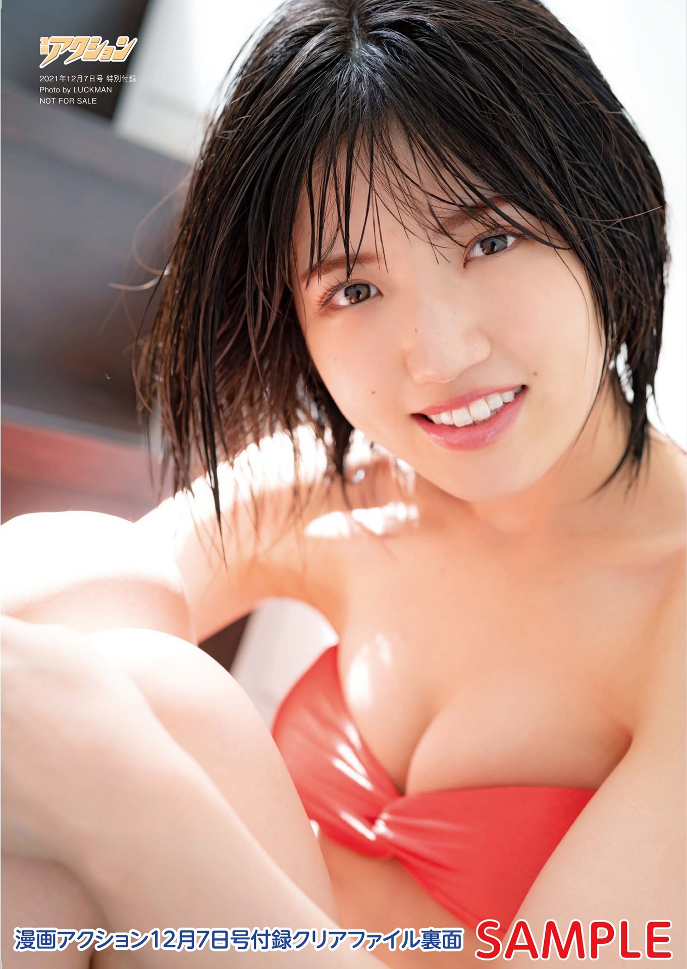 漫画アクション23号付録のクリアファイル裏面。