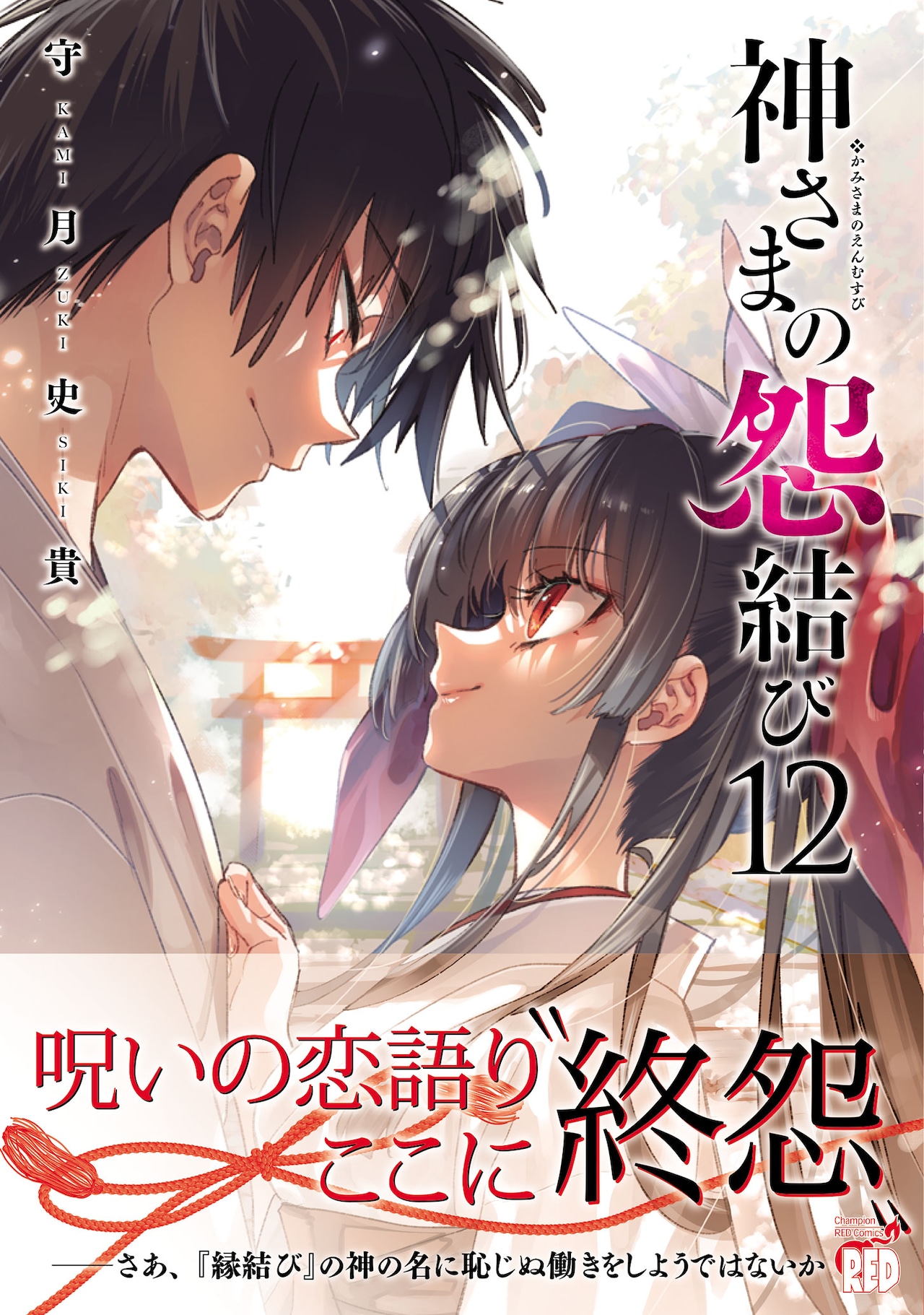 官能ラブサスペンス「神さまの怨結び」最終12巻発売、店舗特典や
