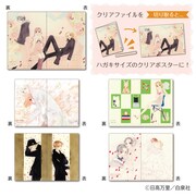 ハガキサイズのクリアポスターファイル。