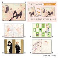 ハガキサイズのクリアポスターファイル。