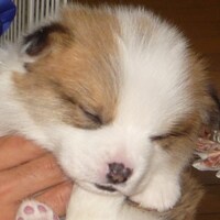 子供の頃のマルティネス。