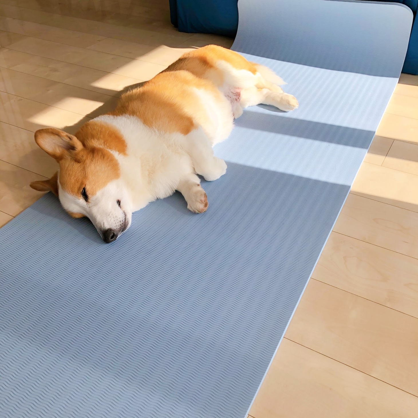 マルティネス