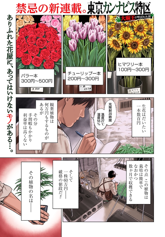 「東京カンナビス特区 大麻王と呼ばれた男」第1話より。(c)稲井雄人/コアミックス