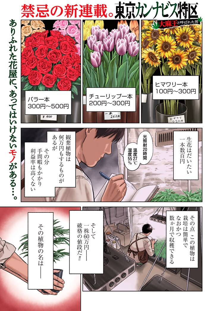 「東京カンナビス特区 大麻王と呼ばれた男」第1話より。(c)稲井雄人/コアミックス