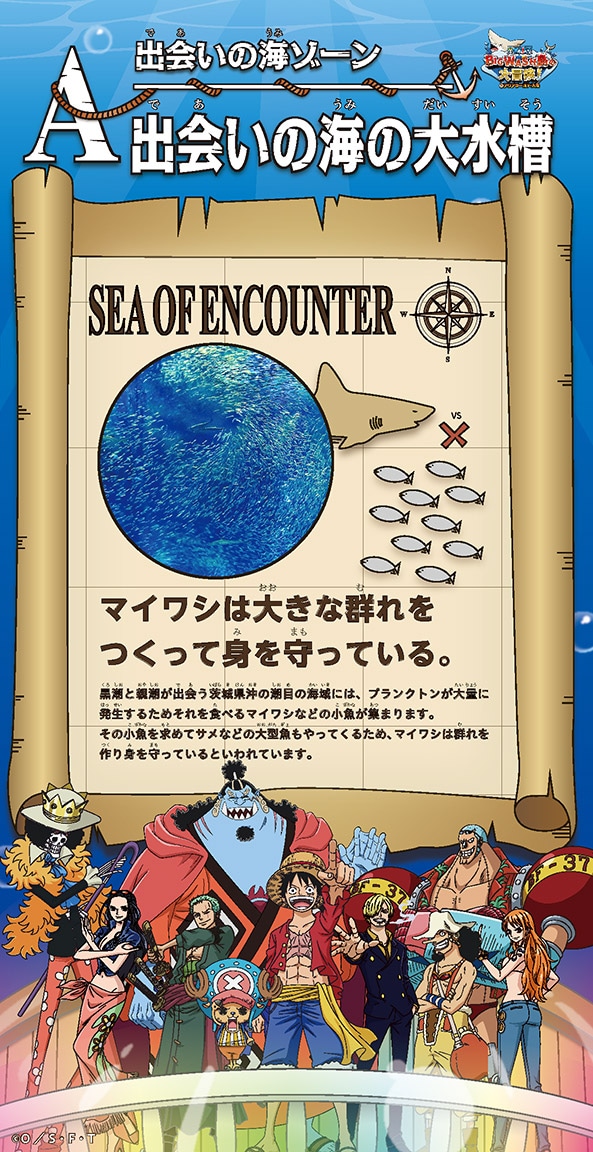 会期中の生態解説パネルのイメージ。