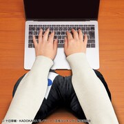 「PCクッション 王様ランキング ボッジ」アームレストの使用イメージ。