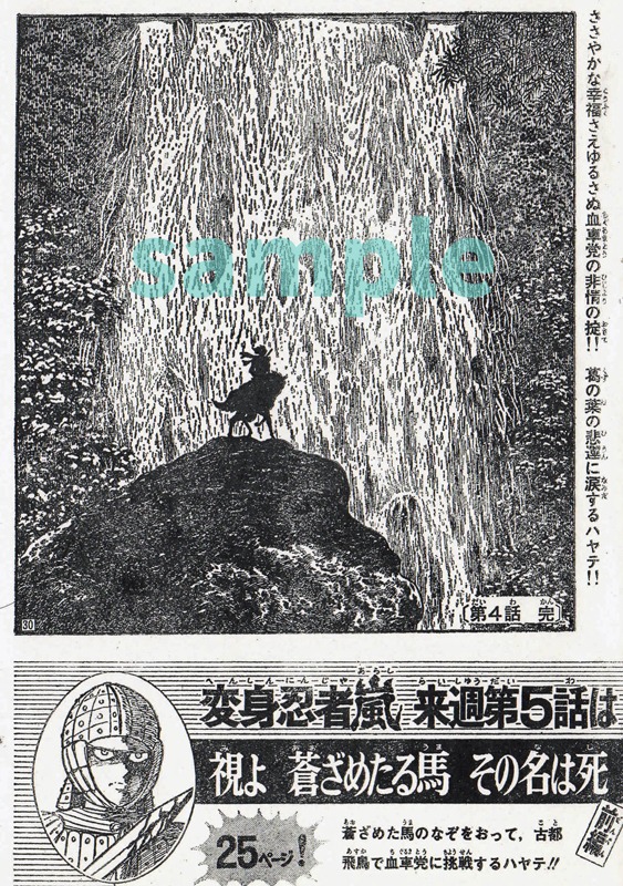 「変身忍者 嵐 1972 ［完全版］」のサンプル。 (c)石森プロ