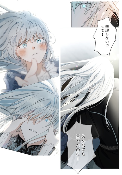 「乙女ゲームの最強キャラたちが私に執着する」より。