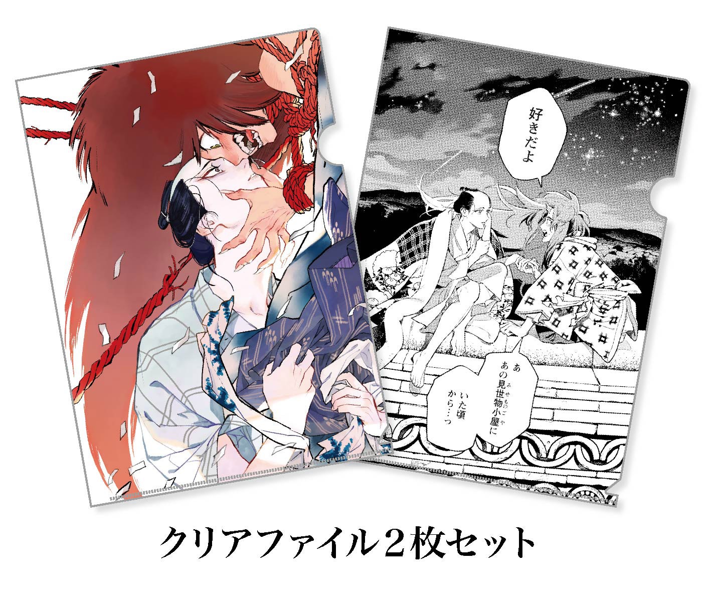 クリアファイル2枚セットのイメージ。