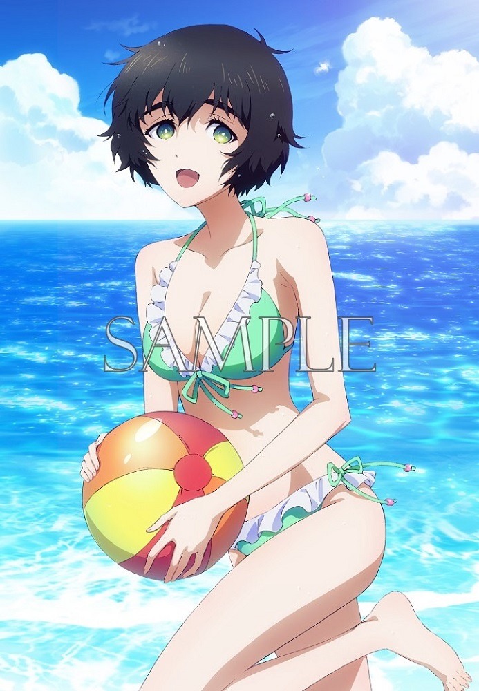 BD-BOXのソフマップアニメガ特典、オリジナルA4アクリルアートスタンド。