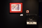 「鋼の錬金術師展 RETURNS」の様子。 (c)Hiromu Arakawa/SQUARE ENIX
