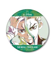 「Ani-Art BIG缶バッジ」